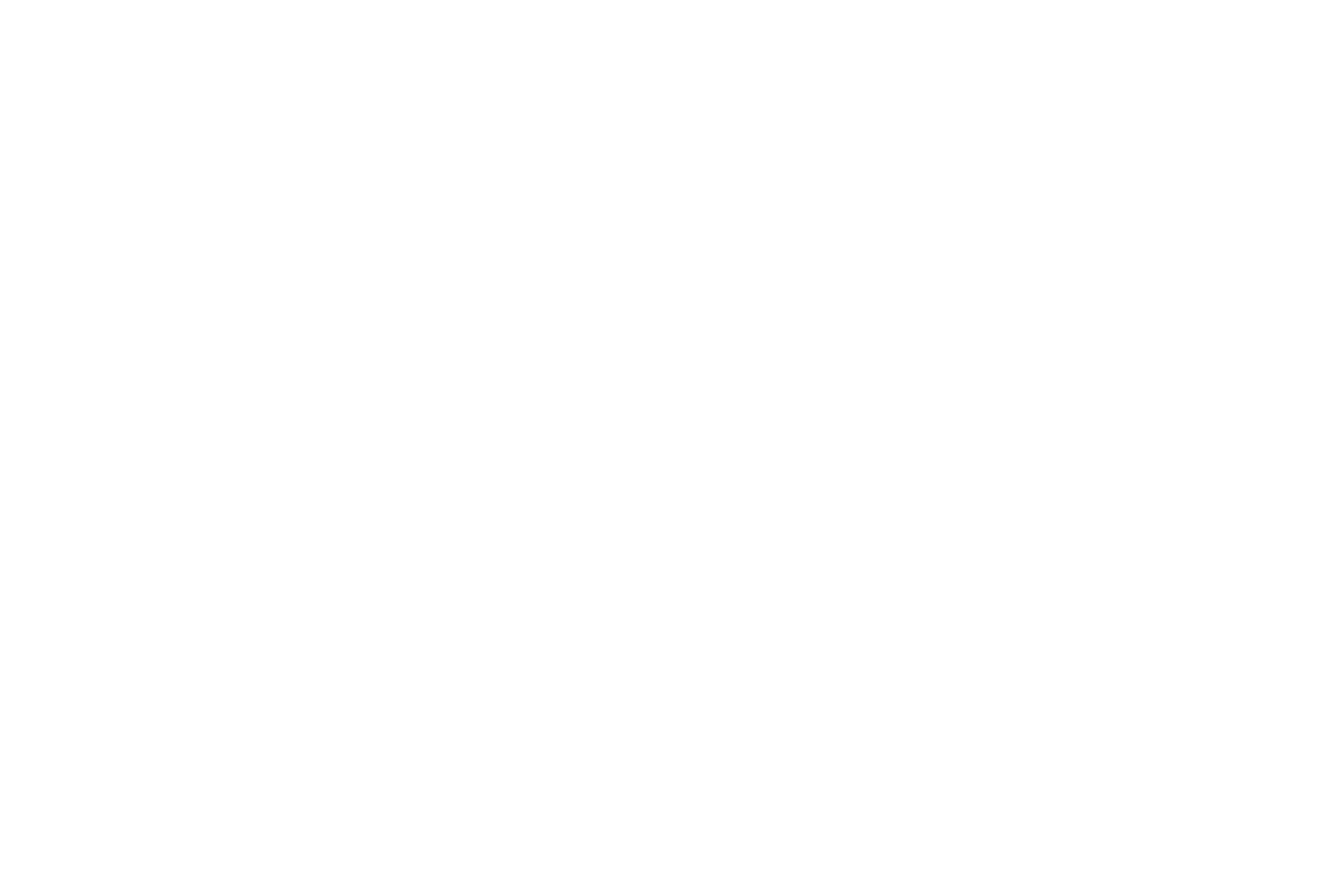 GDash