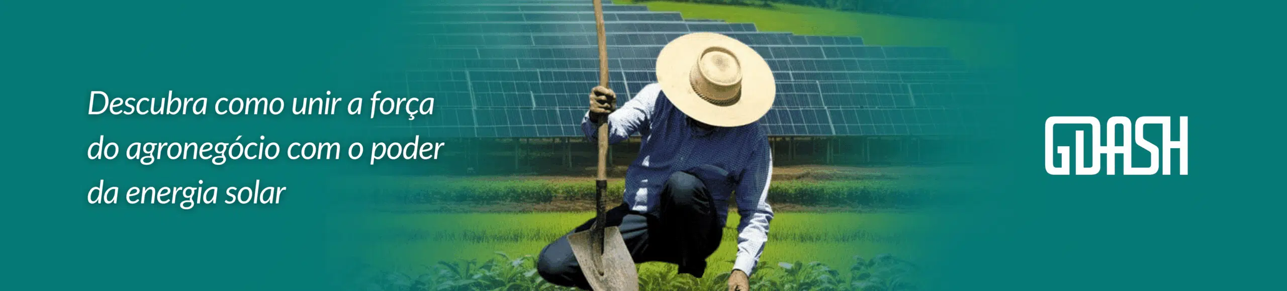 Sistema agrovoltaico: como tornar esse modelo de negócio sustentável mais lucrativo?